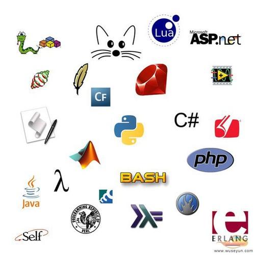 众多的软件开发语言(图:wuseyun.com)